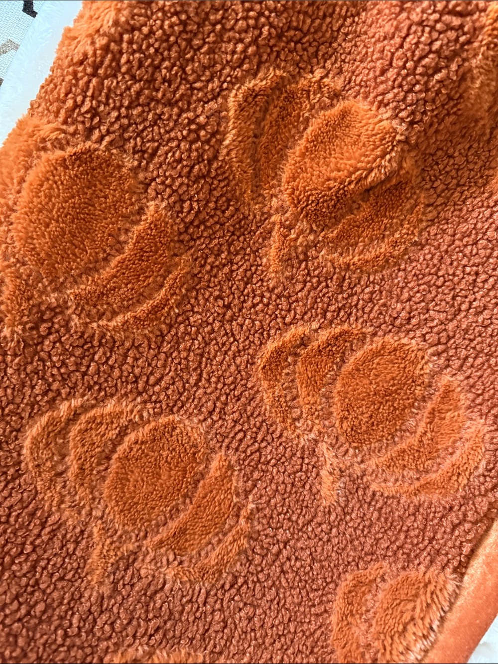 Boutique Collection luxurious faux fur throw blanket; warm, textured Fall Motif